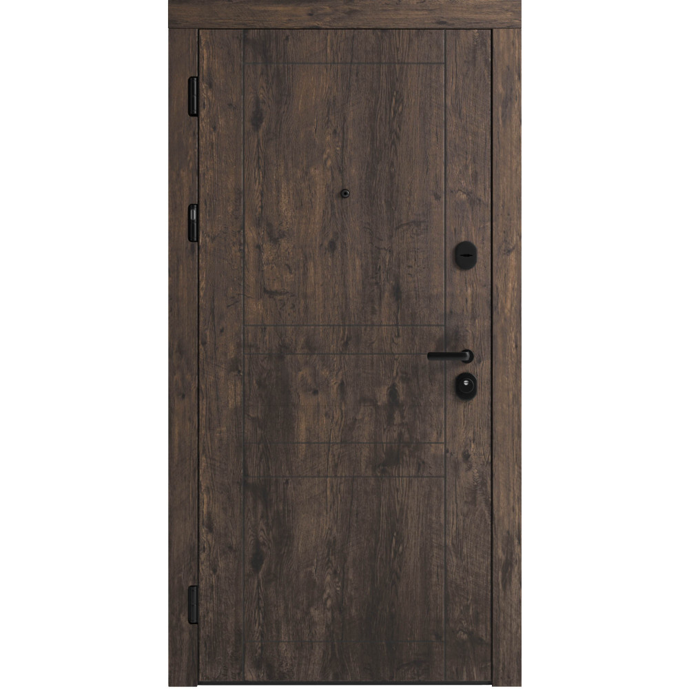 Вхідні двері F 109 вулиці