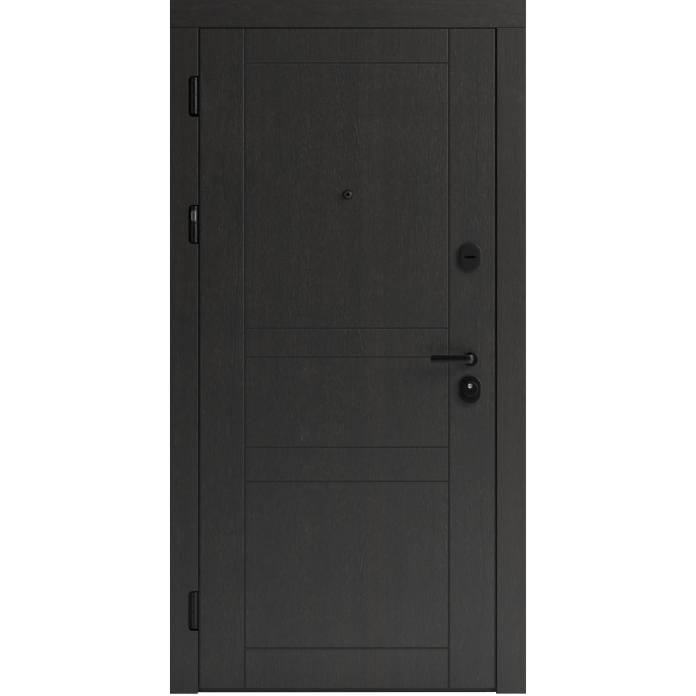 Вхідні двері F 109 вулиці