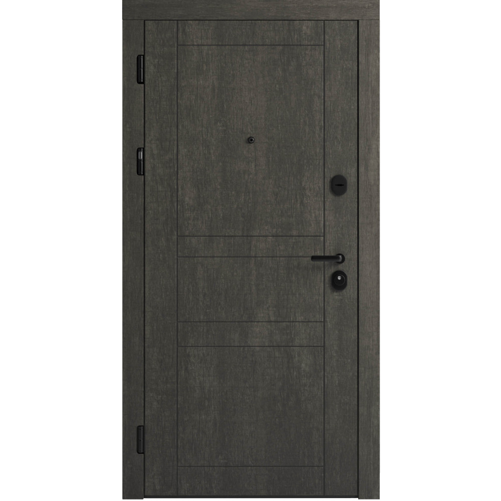 Вхідні двері F 109 вулиці