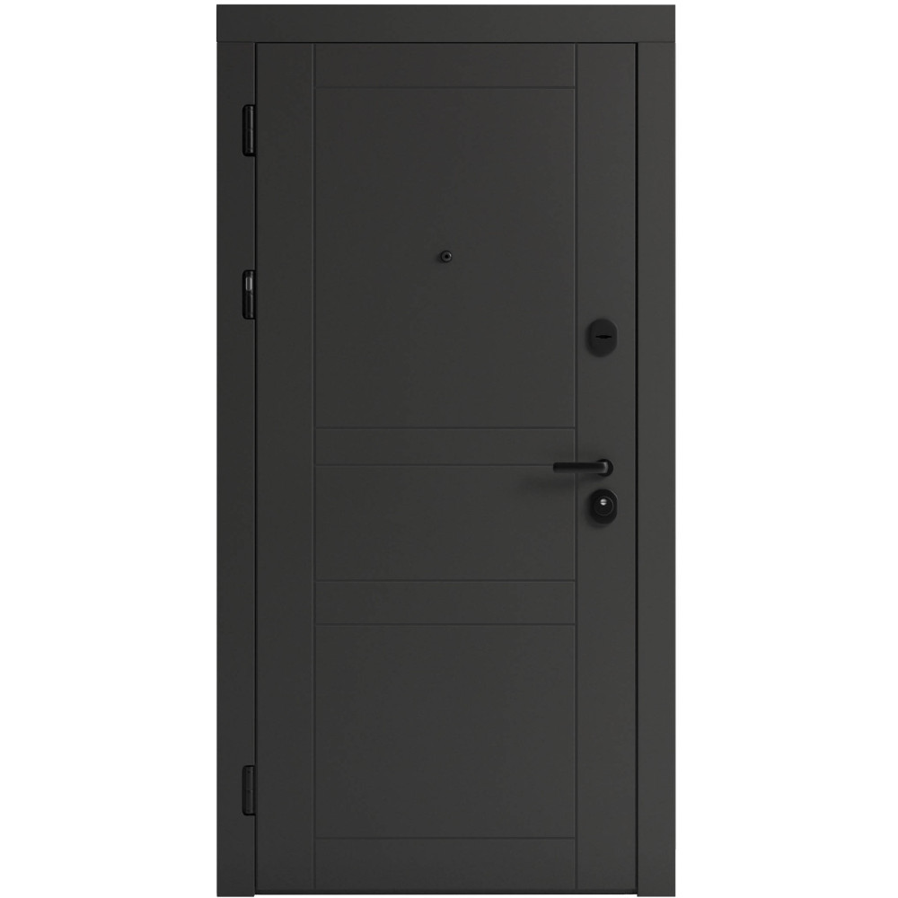 Вхідні двері F 109 вулиці