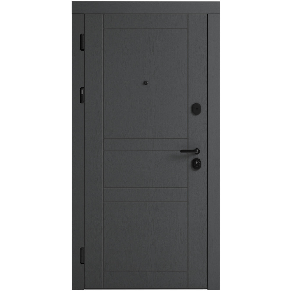 Вхідні двері F 109 вулиці