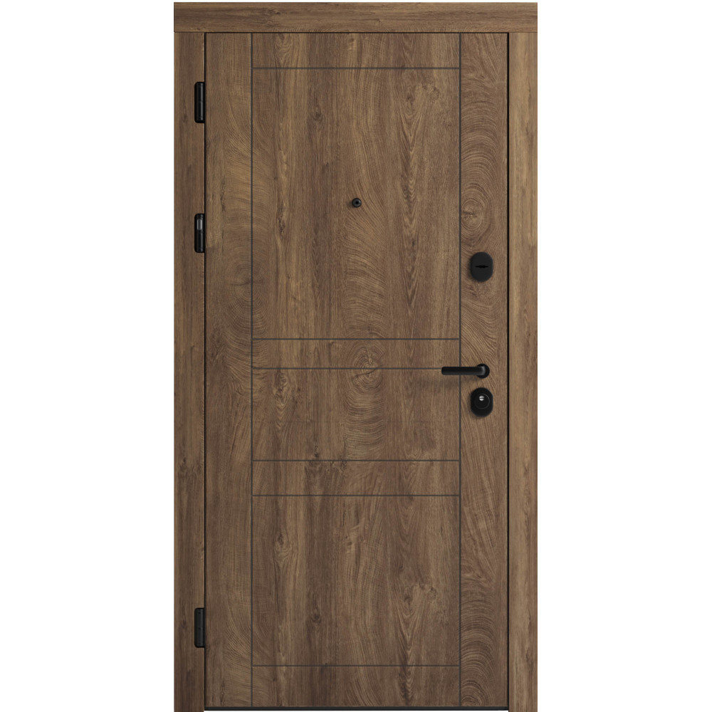 Вхідні двері F 109 вулиці