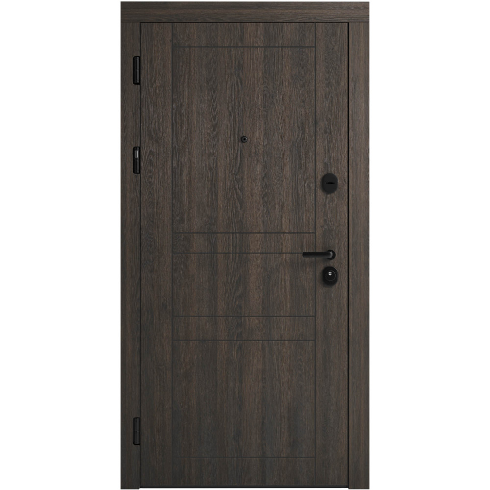 Вхідні двері F 109 вулиці