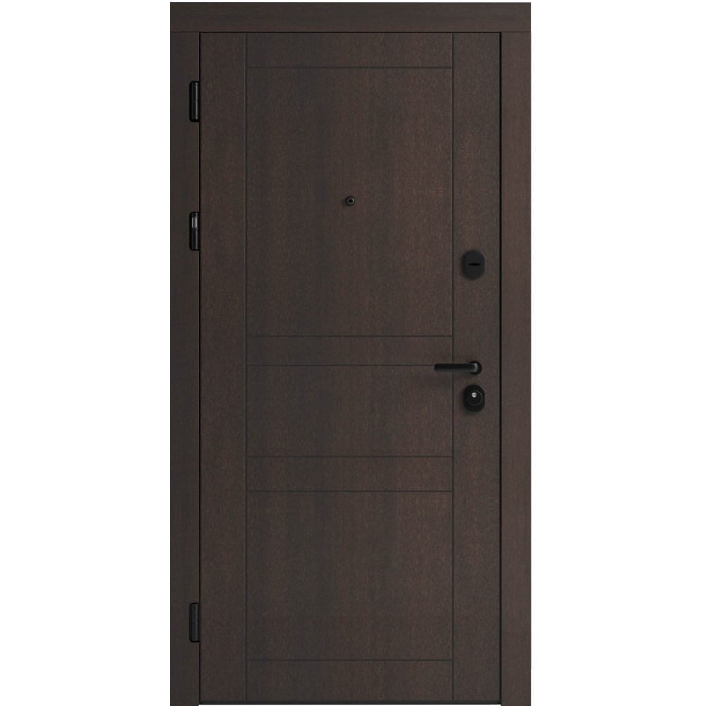 Вхідні двері F 109 вулиці