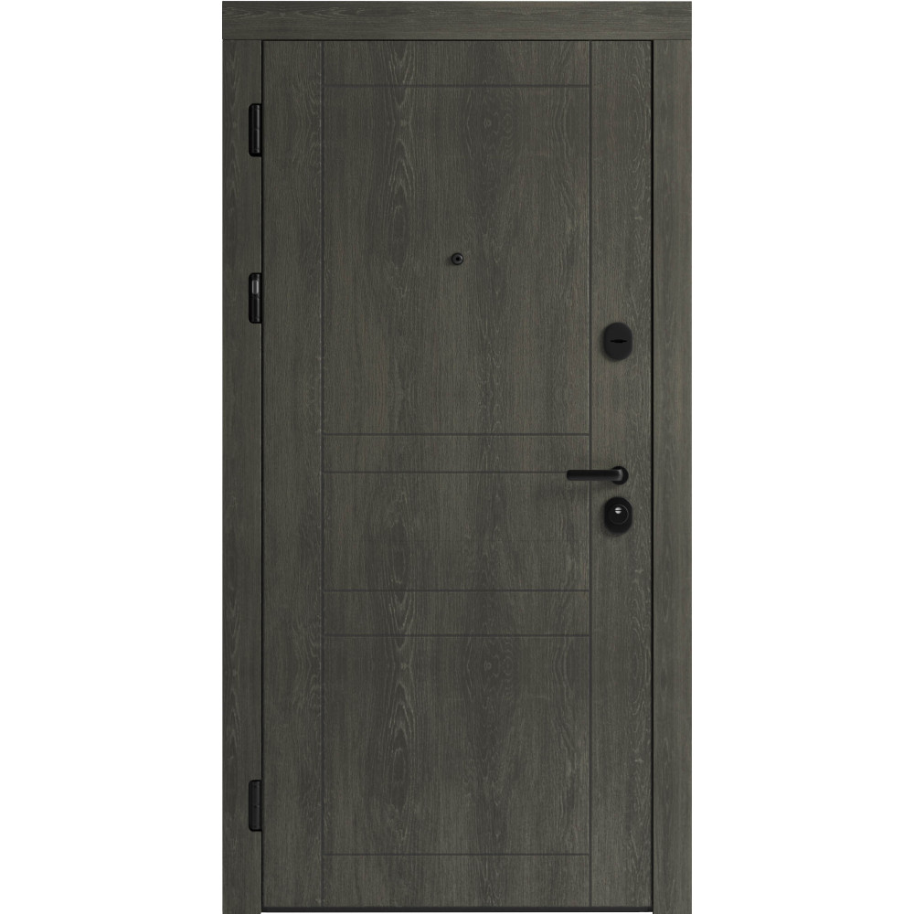 Вхідні двері F 109 вулиці