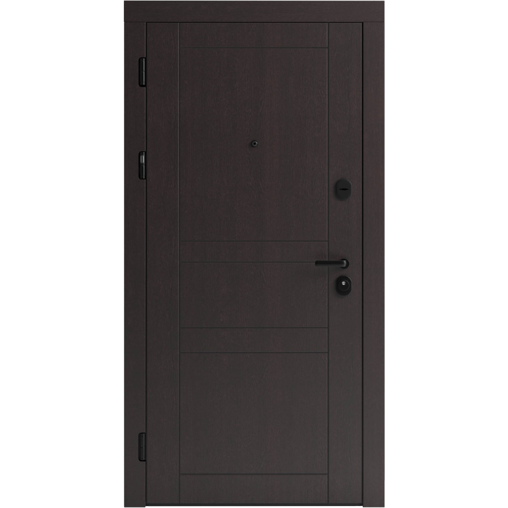 Вхідні двері F 109 вулиці