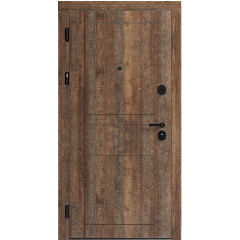 Вхідні двері F 109 вулиці