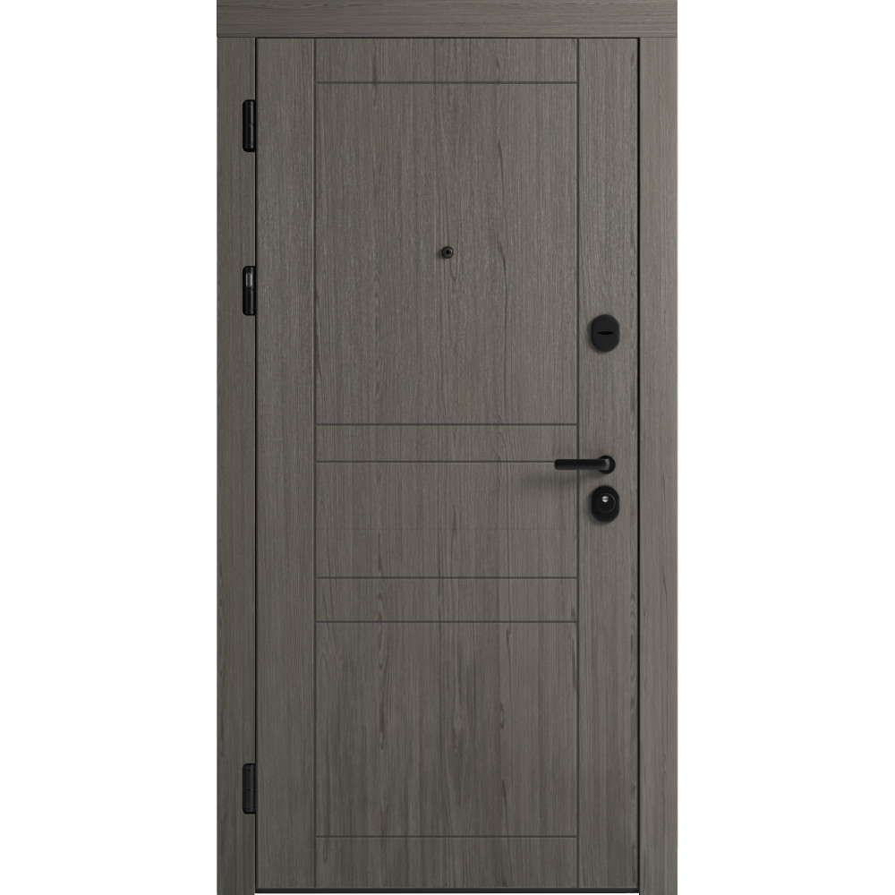 Вхідні двері F 109 вулиці