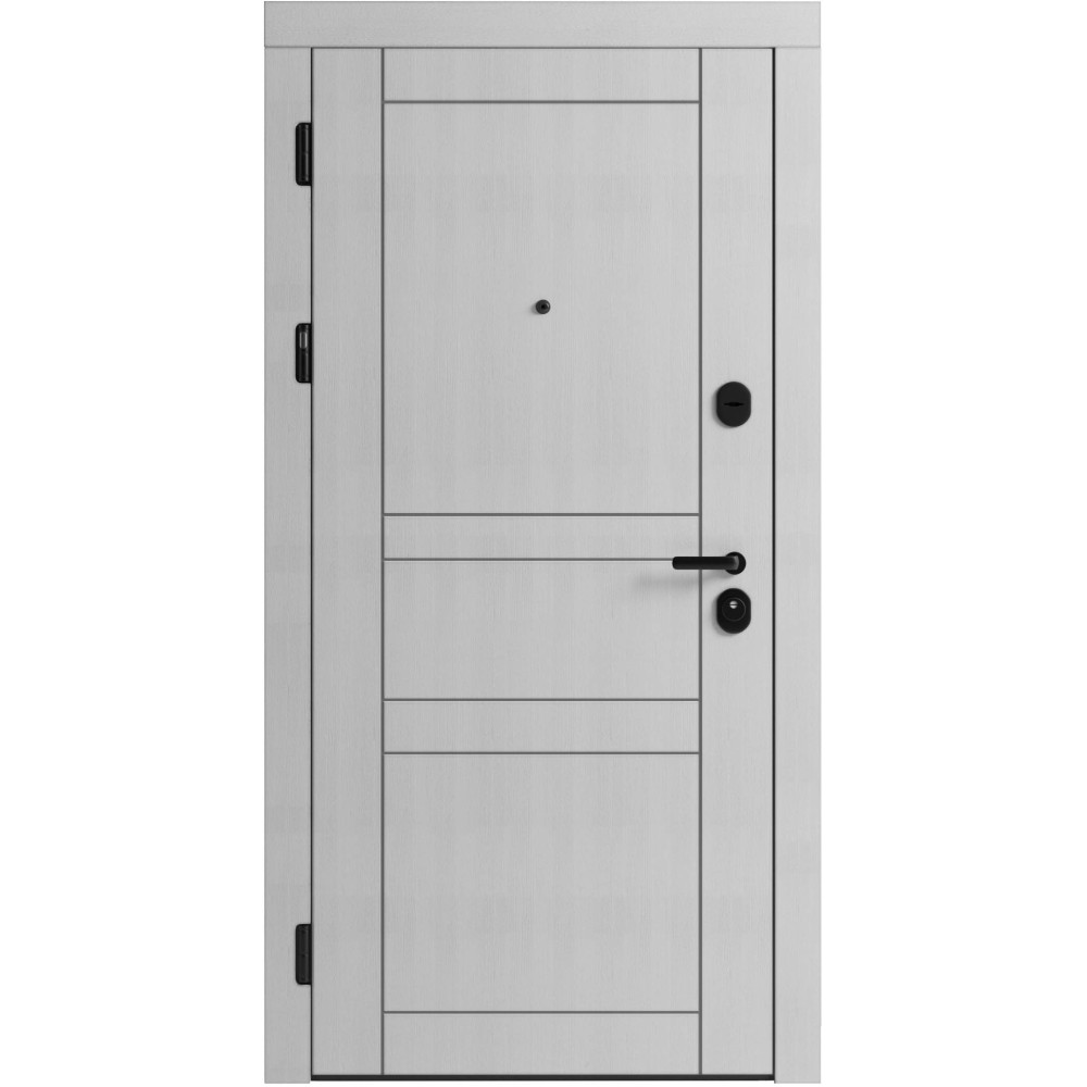 Вхідні двері F 109 вулиці