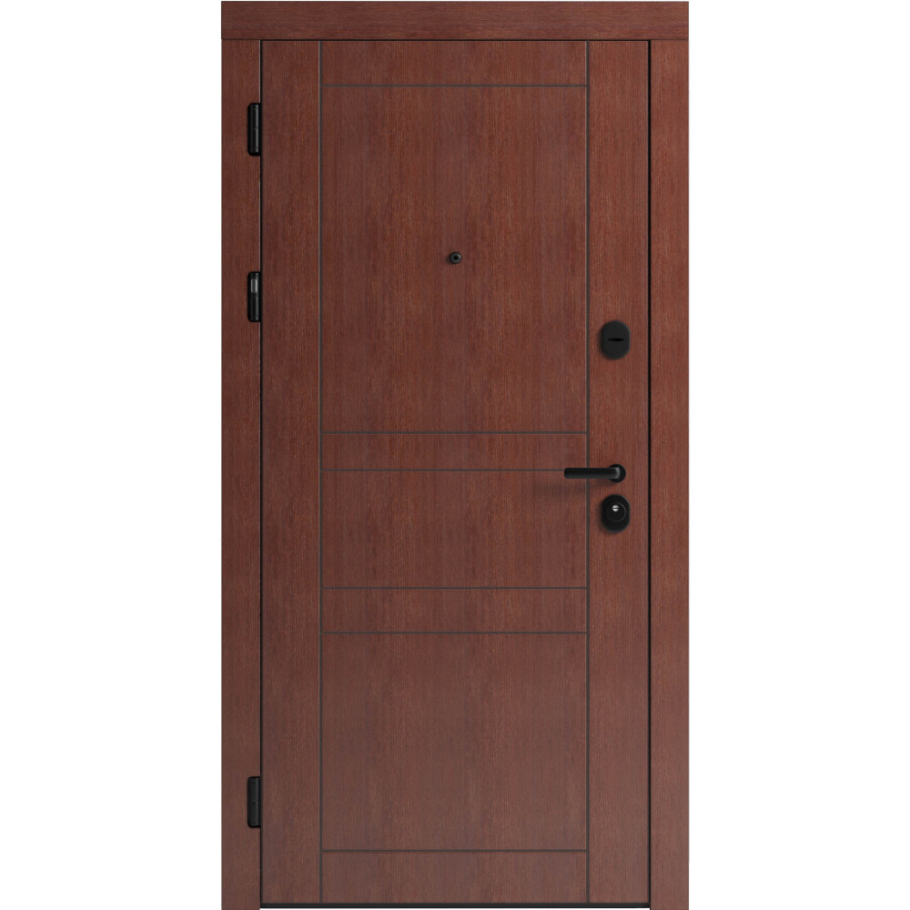 Вхідні двері F 109 вулиці