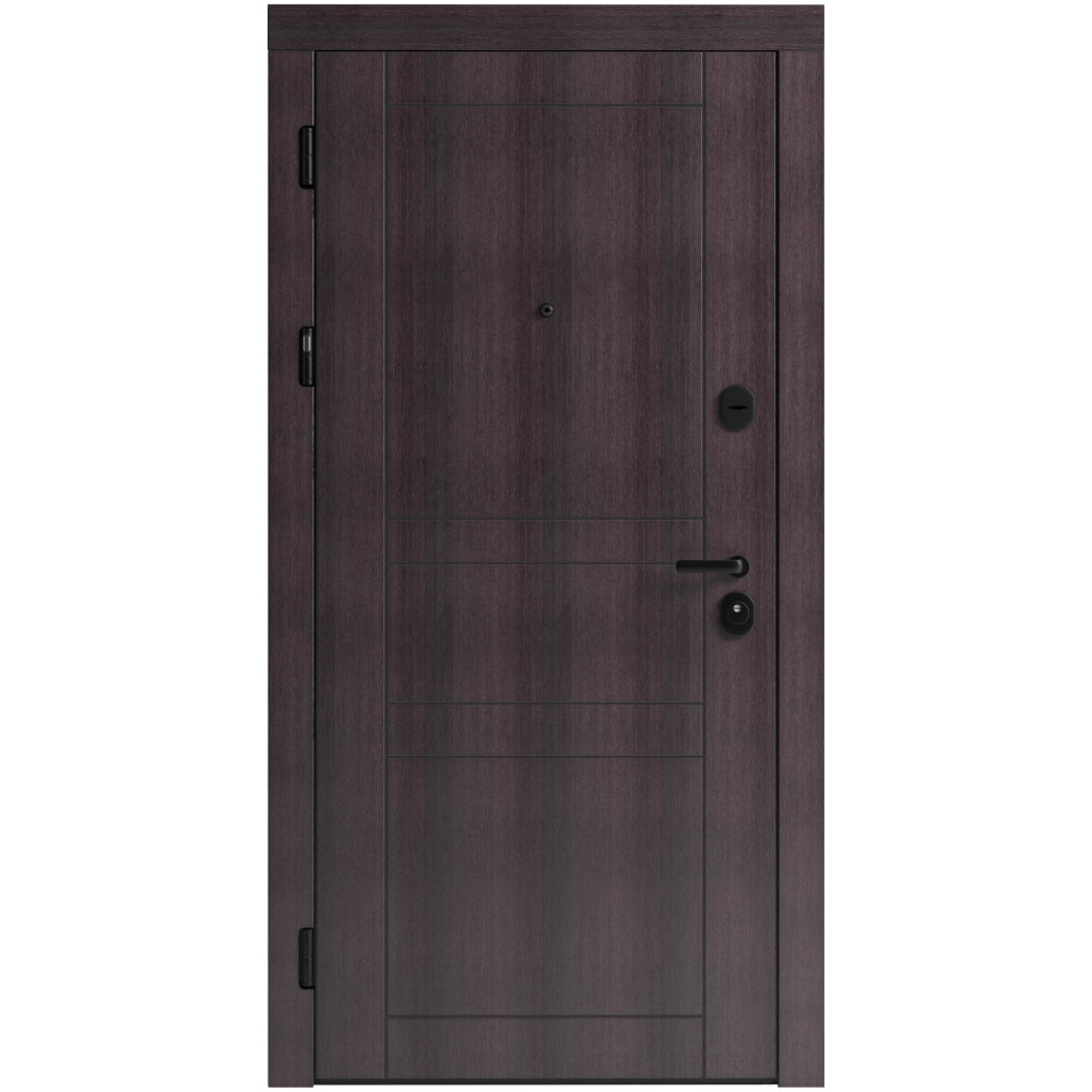 Вхідні двері F 109 вулиці