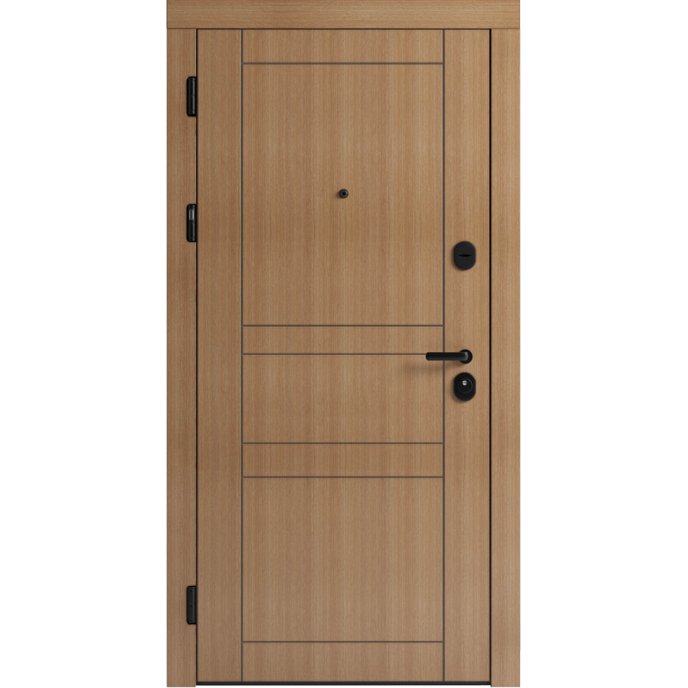 Вхідні двері F 109 вулиці