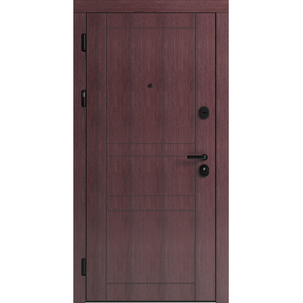 Вхідні двері F 109 вулиці