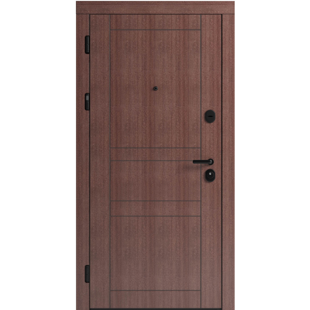 Вхідні двері F 109 вулиці