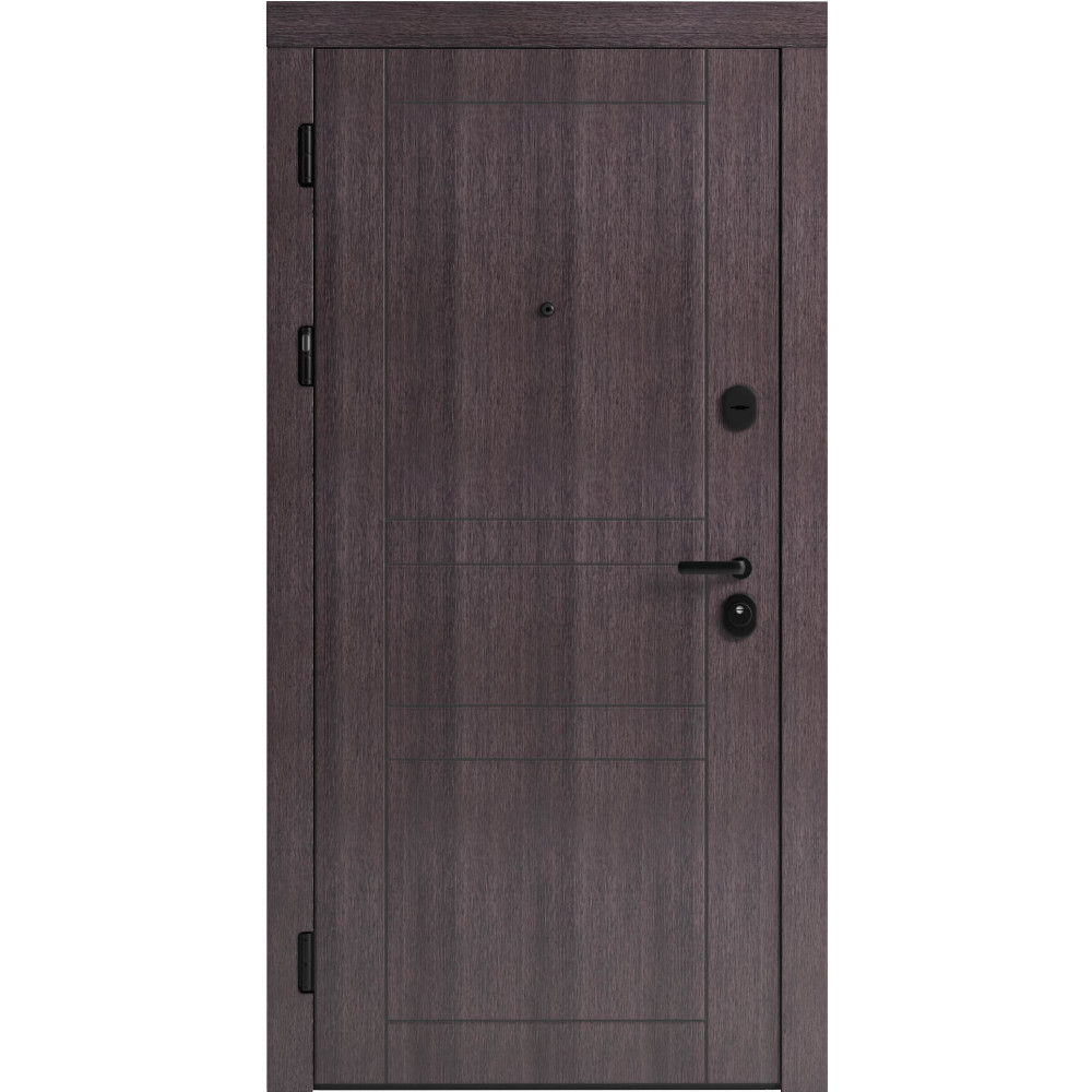 Вхідні двері F 109 вулиці