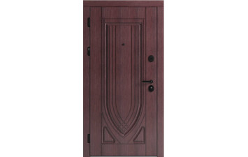 Вхідні двері F 119 для вулиці